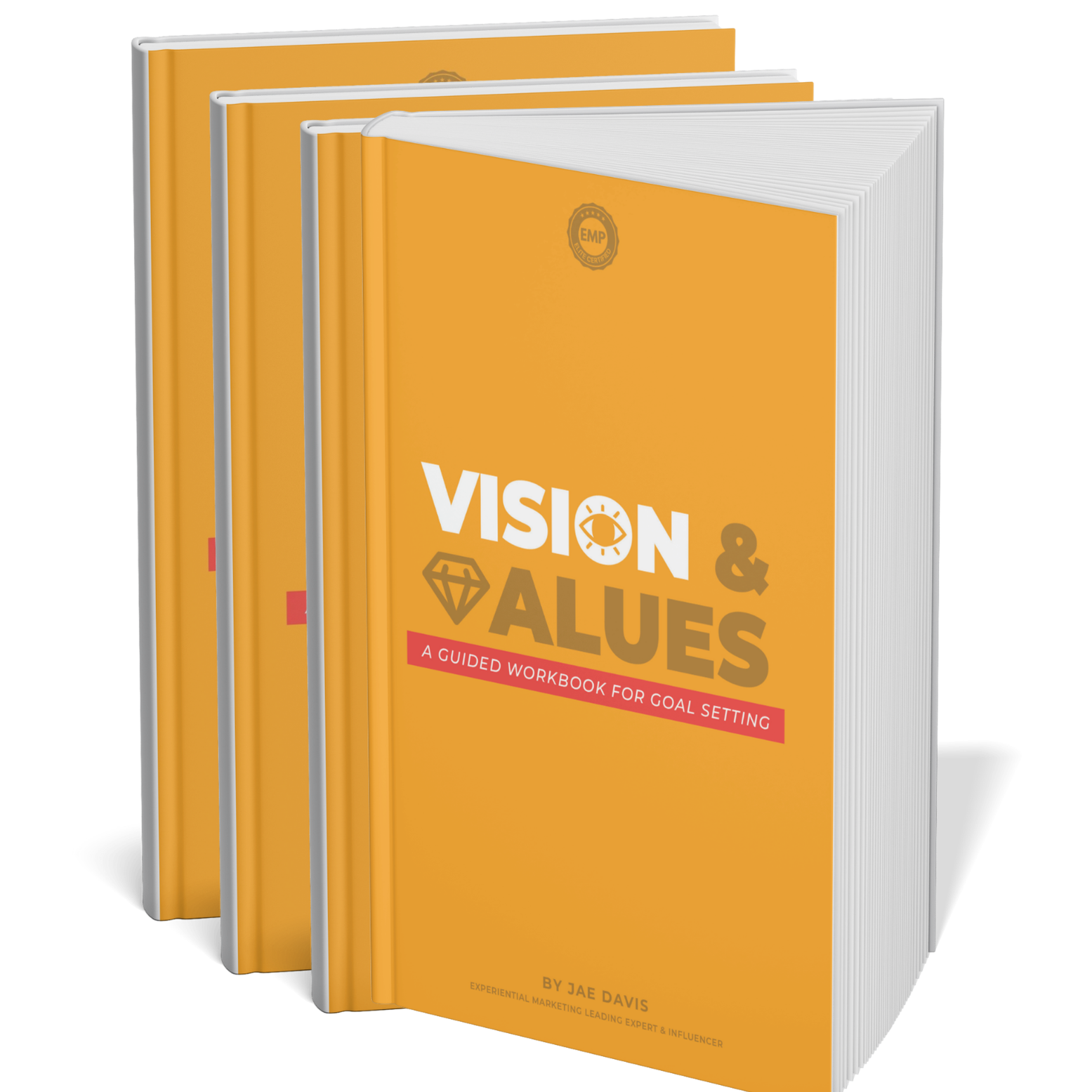 Two 'Vision & Values' workbooks with a visible brand logo on a white background